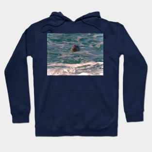 SOAKIN' IT UP! Hoodie